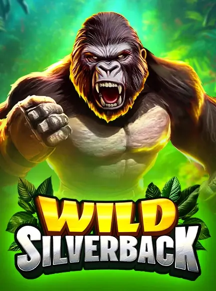 Wild Silverback